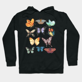 vintage butterfly on black background Hoodie